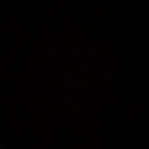 Meet your Posher, Ava